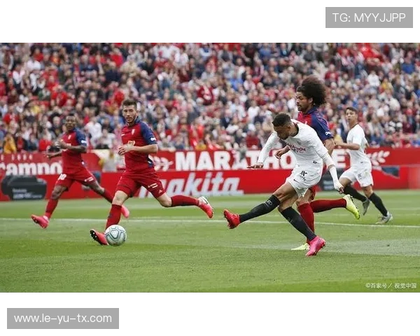 深度剖析奥萨苏纳防线稳定性，多维度揭示背后真相